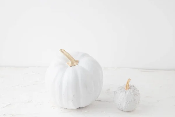 Tiro Ángulo Alto Dos Calabazas Blancas Sobre Una Superficie Blanca — Foto de Stock