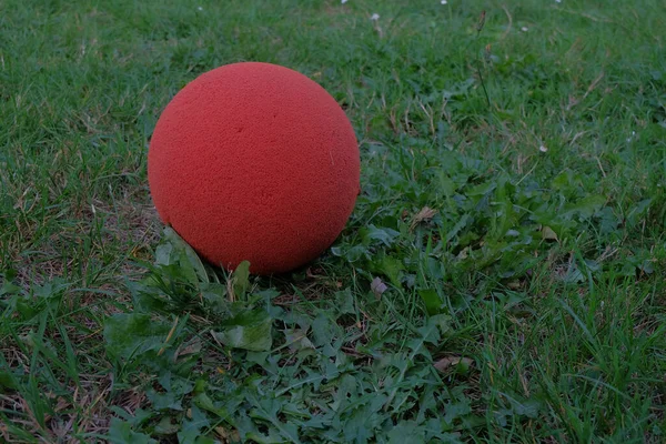 Ένα Κοντινό Πλάνο Μιας Μικρής Κόκκινης Μπάλας — Φωτογραφία Αρχείου