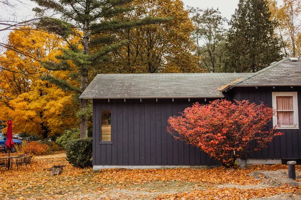 Casa Rodeada Árboles Colores Otoño Ideal Para Fondos Pantalla — Foto de Stock