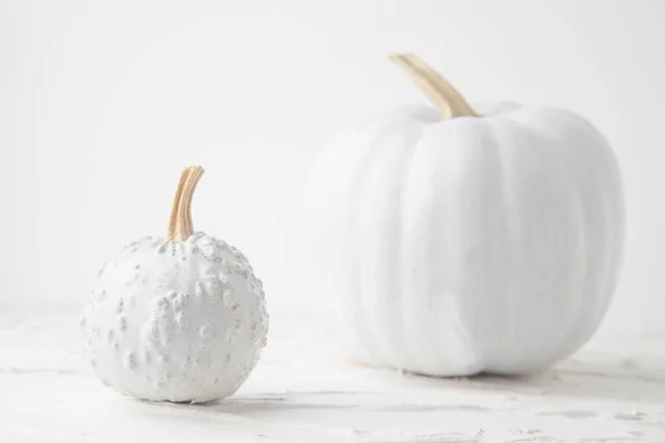 Een Paar Witte Pompoenen Een Witte Achtergrond — Stockfoto