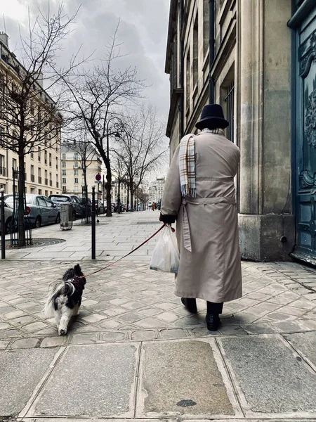 Backshot Ensam Gammal Man Som Går Gatan Med Hunden Staden — Stockfoto