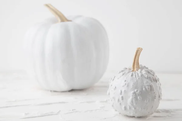 Par Calabazas Blancas Sobre Fondo Blanco — Foto de Stock