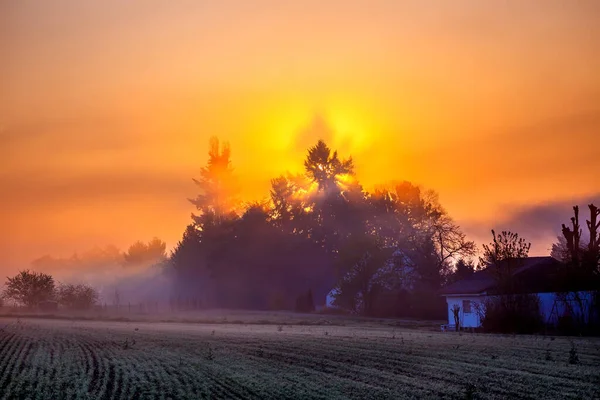 Krásná Scenérie Zelené Krajiny Pokryté Mlhou Při Západu Slunce — Stock fotografie