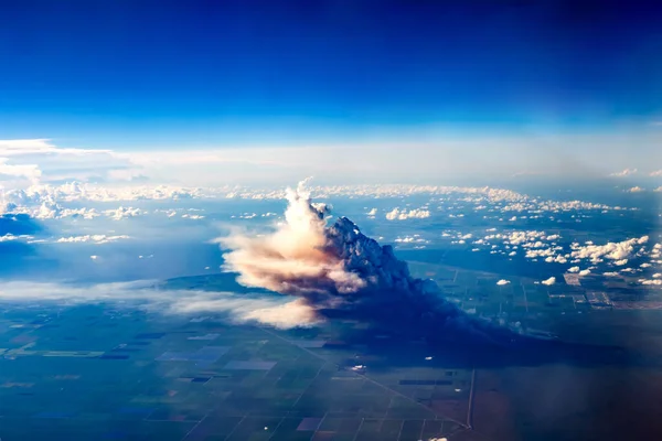 Чудовий Вогонь Пензля Біля Маямі — стокове фото