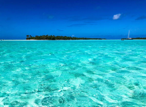 Maravilloso Paisaje Marino Polinesia —  Fotos de Stock