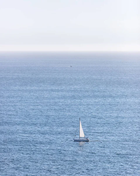 在大海中游泳的帆船的垂直拍 — 图库照片