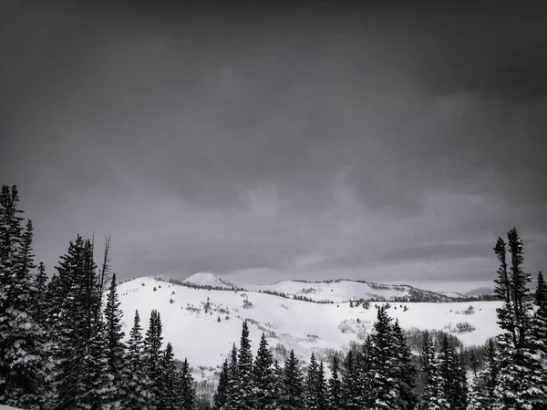 一幅幅迷人的山中冬季风景 — 图库照片