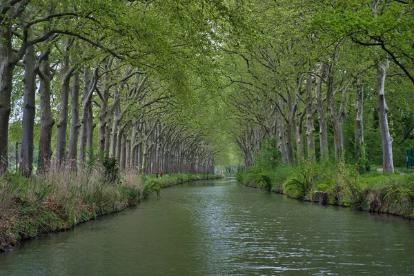 Una Hermosa Vista Del Río Que Fluye Través Bosques Verdes Imagen De Stock