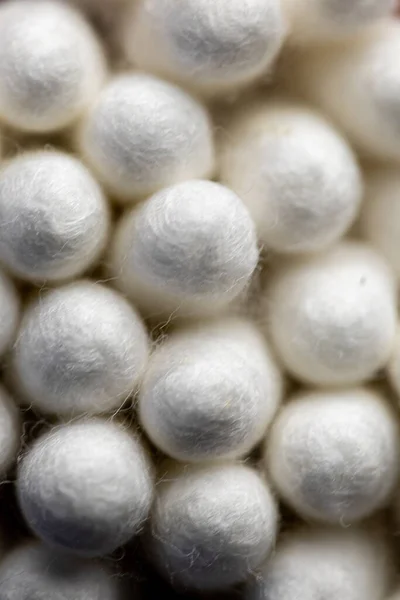 綿の芽の先端の極端な閉鎖 — ストック写真
