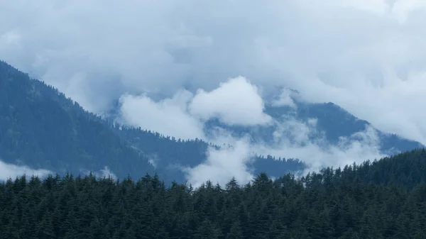 Een Antenne Opname Van Berg Woud Manali Himachal Pradesh India — Stockfoto