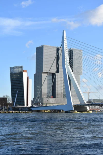 Colpo Verticale Del Ponte Erasmus Sul Fiume Mosa Nei Paesi — Foto Stock