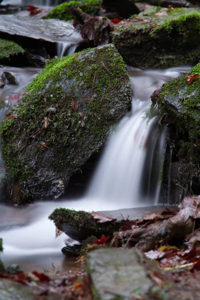 Fechamento Vertical Pequenas Cachoeiras Uma Floresta Capturada Com Exposição Longa — Fotografia de Stock