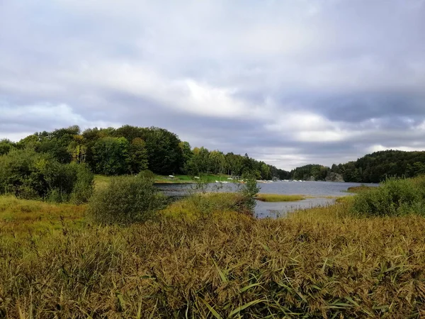 Eine Wiesenlandschaft Umgeben Vom Farris See Larvik Norwegen Unter Dem — Stockfoto