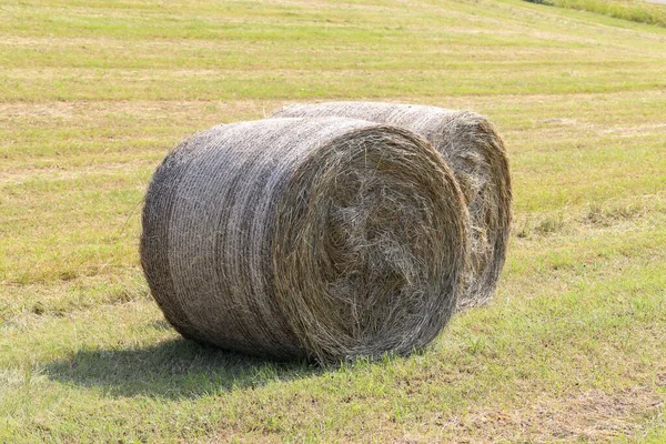 View Two Haystack Rolls Day Time — Stock Photo, Image