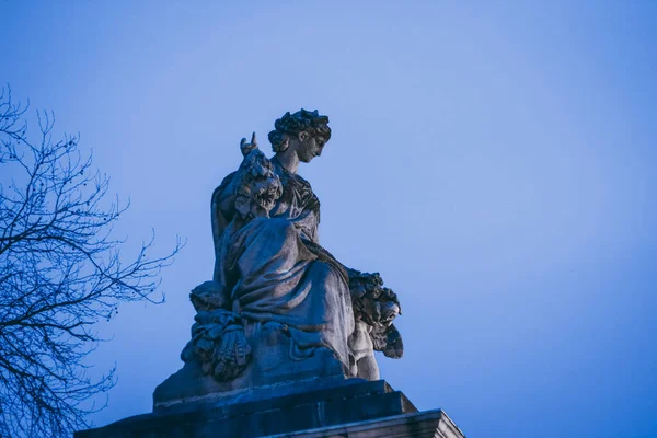 Brussels Belgium Feb 2014 Statue Woman Royal Palace Brussels Night — Φωτογραφία Αρχείου