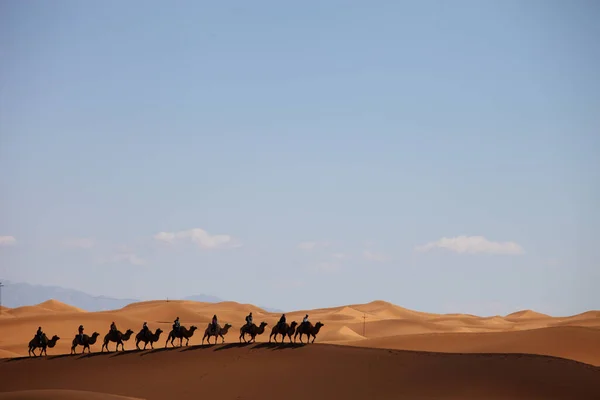 Çin Deki Xinjiang Çölünde Bir Deve Kervanı — Stok fotoğraf