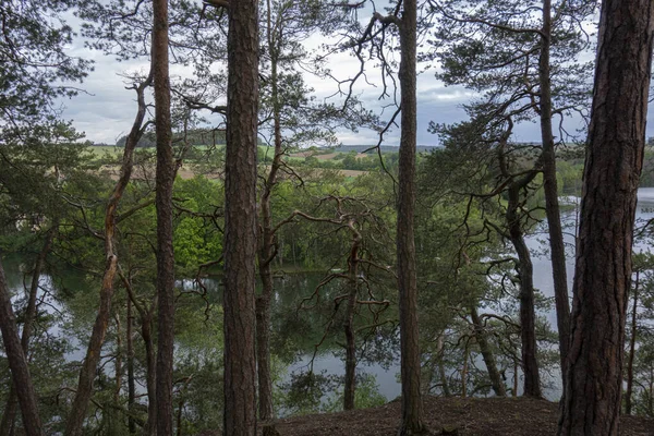 Rio Cercado Por Árvores Sob Céu Nublado Dia Sombrio — Fotografia de Stock