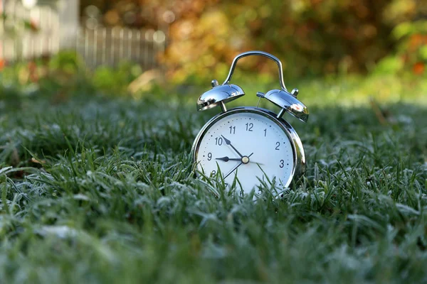 Een Close Opname Van Een Wekker Gras — Stockfoto