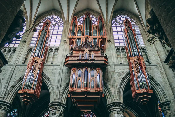 Bruselas Bélgica Febrero 2014 Catedral San Miguel Santa Gúdula Ubicada — Foto de Stock