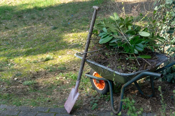 Brouette Remplie Feuilles Branches Avec Une Bêche Ventilée Après Jardinage — Photo