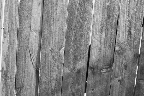 Greyscale Shot Wooden Fence Vertical Planks — Stock Photo, Image