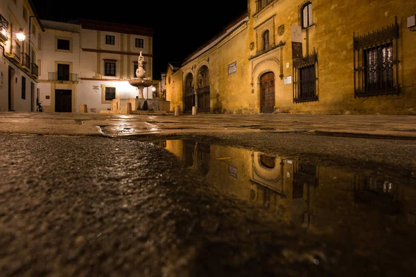 Plaza Del Potro Night Cordoba Spain — Stock Photo, Image