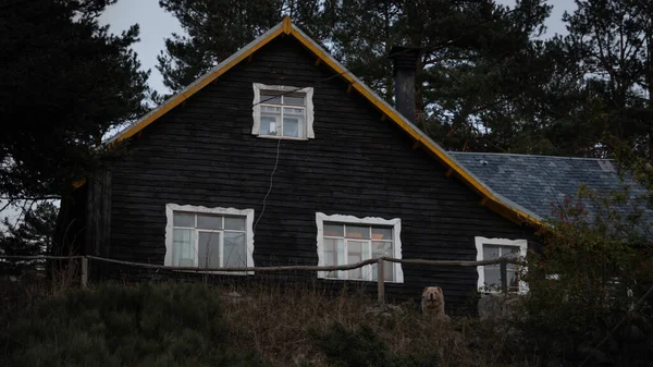 Ein Altes Hölzernes Landhaus Umgeben Von Bäumen Einem Dorf — Stockfoto