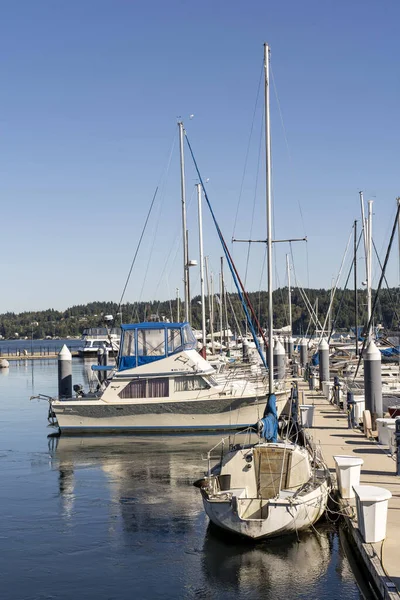 Ιστορικά Ιστιοφόρα Πλοία Στο Μουσείο Harbor Kappeln Γερμανία — Φωτογραφία Αρχείου