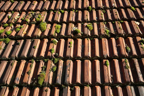 High Angle Shot Leaves Fallen Roof Texture — Stock Photo, Image