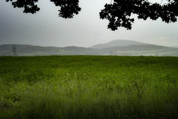 Krajina Poli Pokrytém Zelení Pod Zataženou Oblohou Dne — Stock fotografie