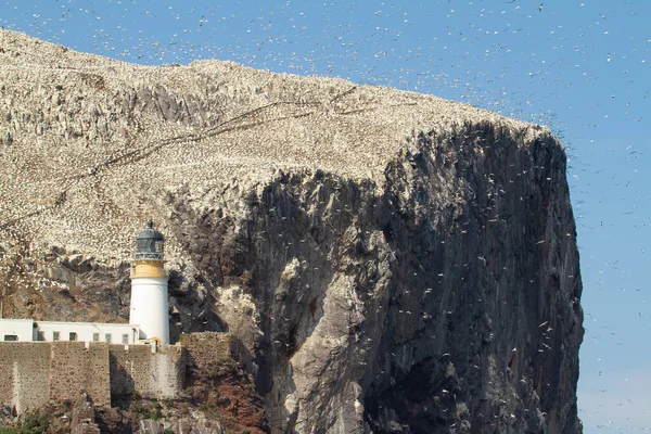 Magnificent Bass Rock Captured Scotland — Stock Photo, Image