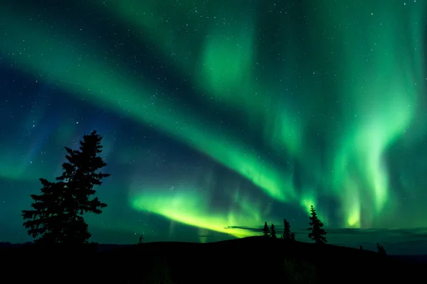 カナダ ユーコンの夜の星空のオーロラ — ストック写真