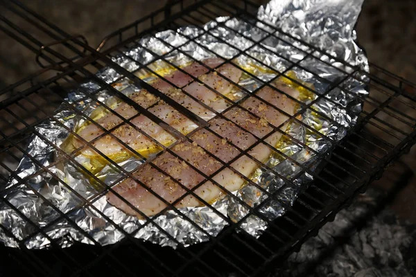 Folyodaki Balık Filetoları Braai Izgarası Sıcak Kömürle Pişiriliyor Güney Afrika — Stok fotoğraf