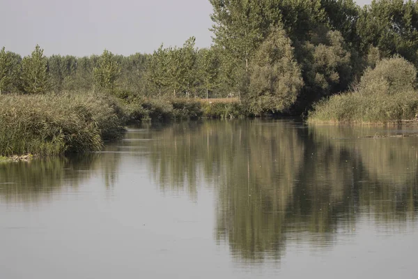 Zelený Rybník Obklopený Stromy Parku Minicio Mantova Itálii — Stock fotografie