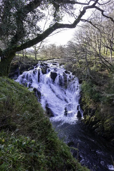 Betws Coed イギリス 2019年2月22日 スノードニア国立公園のツバメの滝 — ストック写真