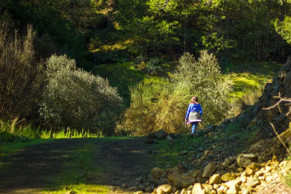 Samica Wędrowca Spacerująca Lesie Górach Troodos Cyprze — Zdjęcie stockowe