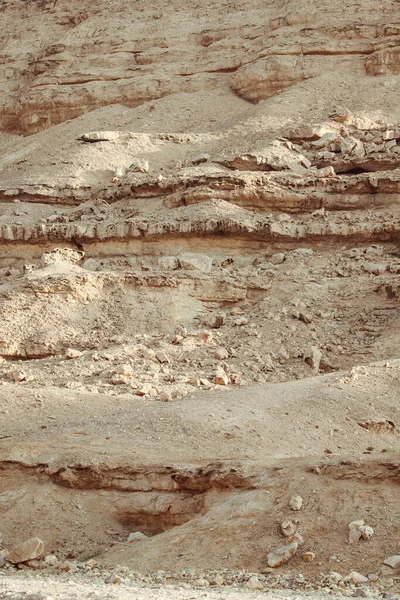 Ένα Ηλιόλουστο Τοπίο Από Ένα Ξηρό Τοπίο Της Ερήμου — Φωτογραφία Αρχείου