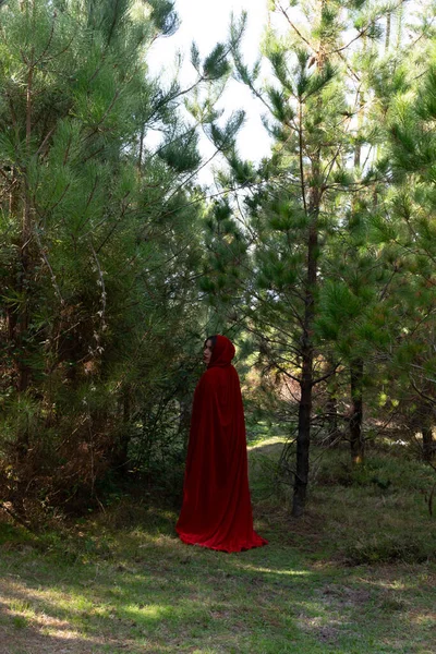 Вертикальний Знімок Красивої Дівчини Червоному Костюмі Верхової Їзди — стокове фото