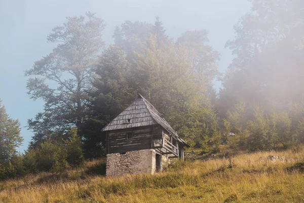 Mała Stara Chatka Wzgórzu Otoczona Zielenią Drzewami — Zdjęcie stockowe