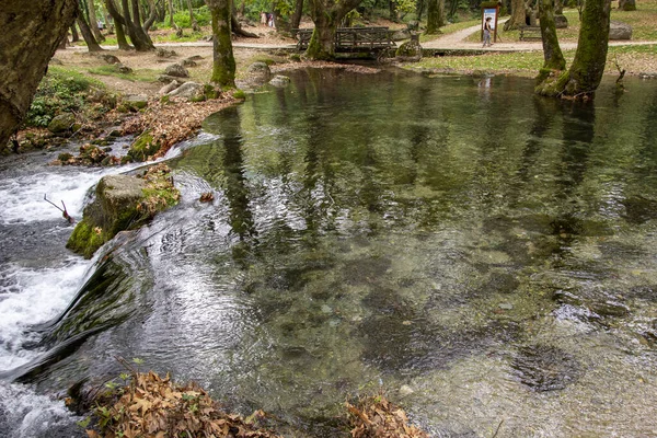 Beautiful Park Small Bridge Stream Spring — Stock Photo, Image