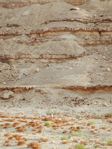 Uma Paisagem Ensolarada Uma Paisagem Seca Deserto — Fotografia de Stock