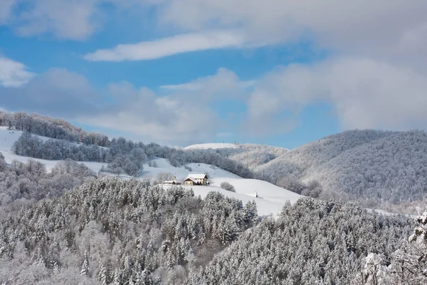 Ein Laubwald Der Winter Mit Schnee Bedeckt Ist — Stockfoto