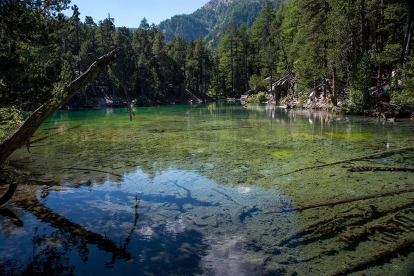 Zelené Jezero Lese Krásnou Barvou — Stock fotografie