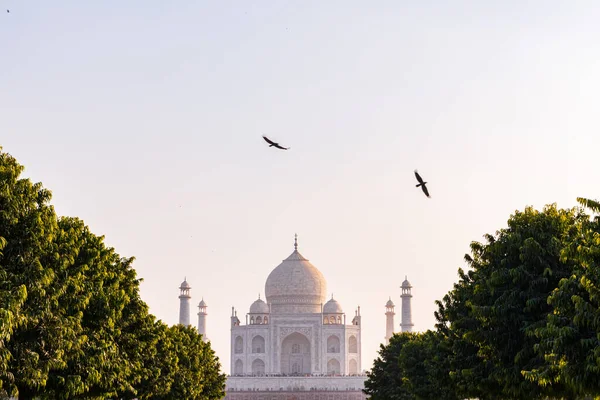 Agra Indie Grudzień 2018 Taj Mahal Widziany Mehtab Bagh Okryty — Zdjęcie stockowe