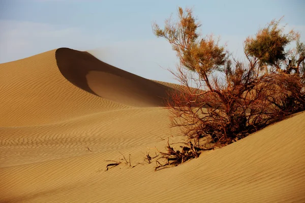 Een Close Shot Van Zandduinen Xinjiang China — Stockfoto