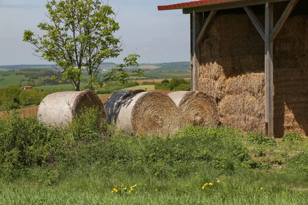 Een Stelletje Hooi Rolt Bij Een Schuur Een Veld — Stockfoto