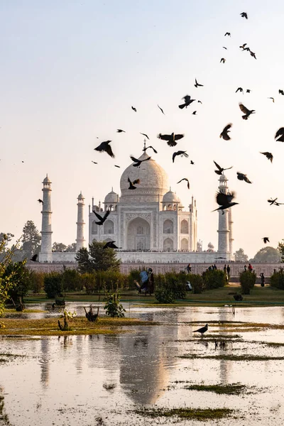 Ptaki Latające Przed Taj Mahal Widziane Mehtab Bagh Okryte Mgłą — Zdjęcie stockowe