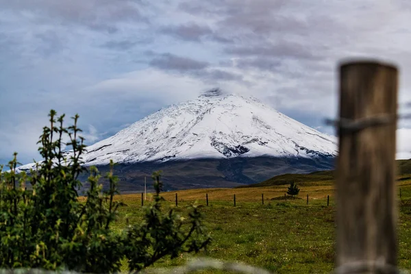 Eine Schöne Aufnahme Von Grünen Wiesen Und Verschneiten Hügeln Hintergrund — Stockfoto