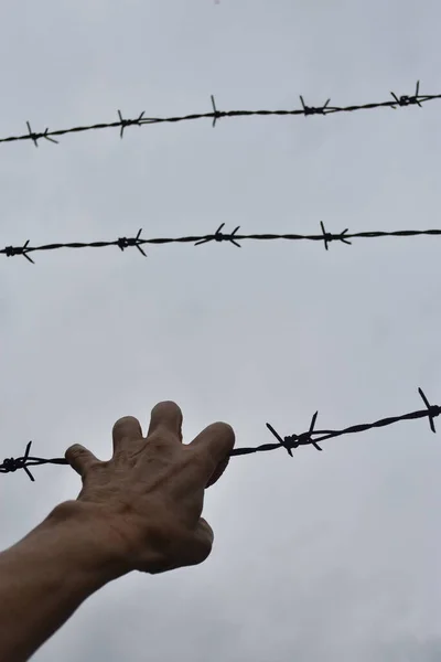 Vertical Shot Person Holding Barbed Wire Cloudy Sky Concept Freedom — Fotografia de Stock