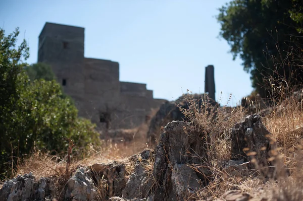 イスラエルの後ろに古代の城と乾燥した草の葉の浅いフォーカスショット — ストック写真